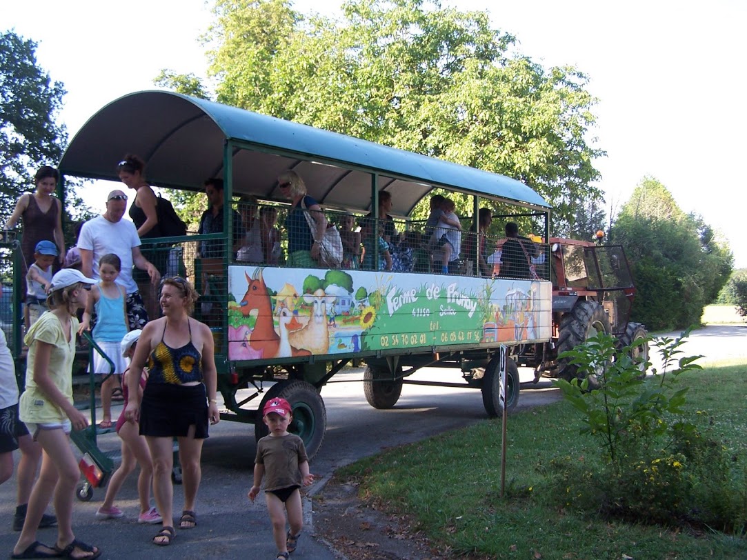 Ferme de Prunay Centro-Valle della Loira - Seillac visuel 4/11 Ferme de Prunay Centro-Valle della Loira - Seillac visuel 4/11