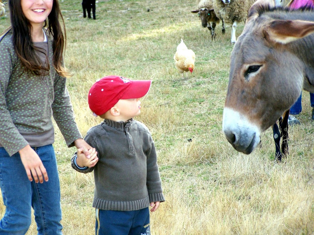 Ferme de Prunay Centro-Valle della Loira - Seillac visuel 7/11 Ferme de Prunay Centro-Valle della Loira - Seillac visuel 7/11
