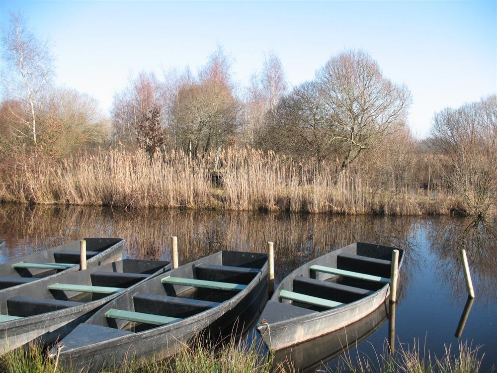 Fleur de Brière Paesi della Loira - Saint-Lyphard visuel 9/9 Fleur de Brière Paesi della Loira - Saint-Lyphard visuel 9/9