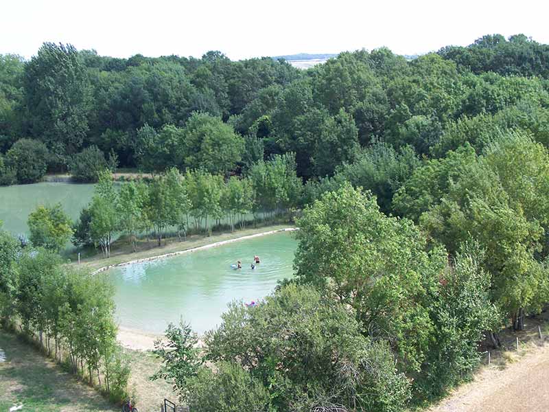 Fleurs des Champs Poitou-Charentes - Arces visuel 1/1 Fleurs des Champs Poitou-Charentes - Arces visuel 1/1