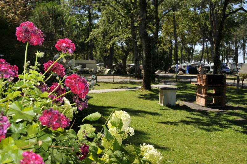 Fontaine Vieille Aquitania - Andernos-les-Bains visuel 2/4 Fontaine Vieille Aquitania - Andernos-les-Bains visuel 2/4