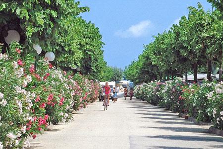 Gemma Marche - Fermo visuel 2/11