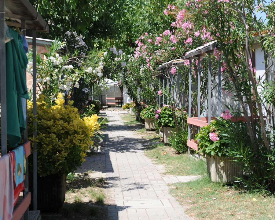 Gemma Marche - Fermo visuel 8/11