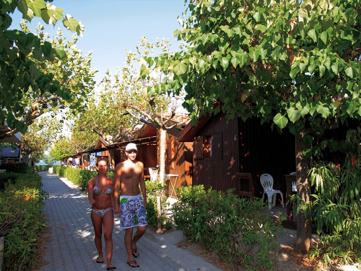 Girasole Marche - Fermo visuel 5/8