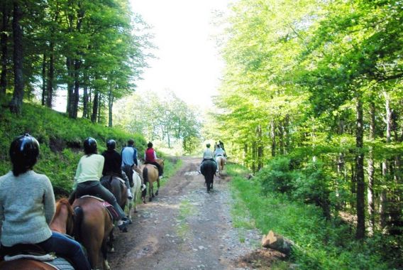 Hameau de chalets de la Chazotte Alvernia - Saint-Jacques-d'Ambur visuel 3/8