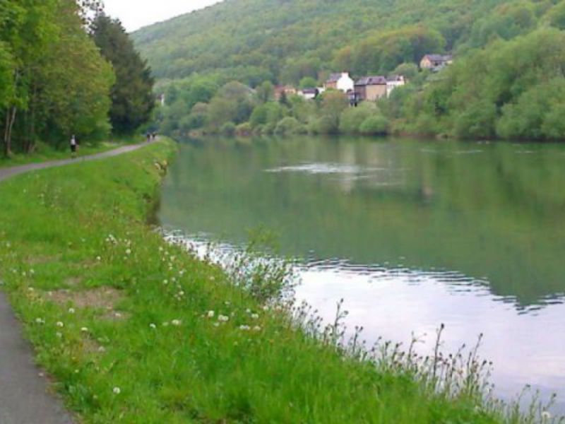 Haulmé Champagne-Ardenne - Haulmé visuel 7/7