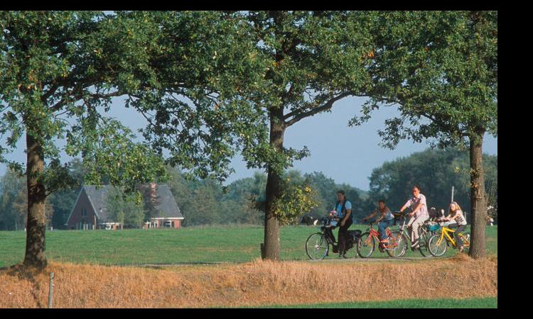 het Wieskamp Gheldria - Henxel visuel 2/4