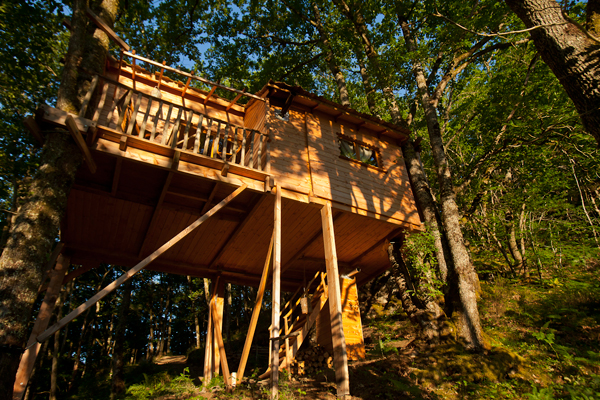 Hêtre sous le Charme Limosino - Saint-Martial-Entraygues visuel 3/10