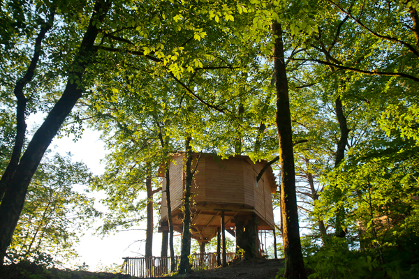 Hêtre sous le Charme Limosino - Saint-Martial-Entraygues visuel 4/10