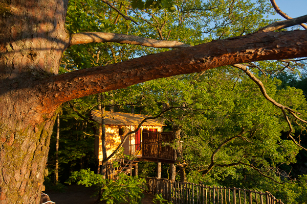 Hêtre sous le Charme Limosino - Saint-Martial-Entraygues visuel 5/10