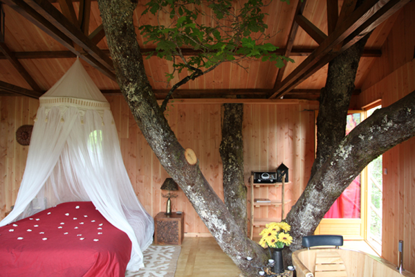 Hêtre sous le Charme Limosino - Saint-Martial-Entraygues visuel 6/10