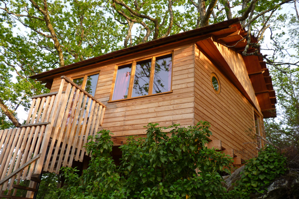 Hêtre sous le Charme Limosino - Saint-Martial-Entraygues visuel 7/10