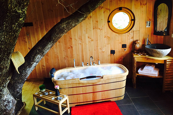 Hêtre sous le Charme Limosino - Saint-Martial-Entraygues visuel 8/10