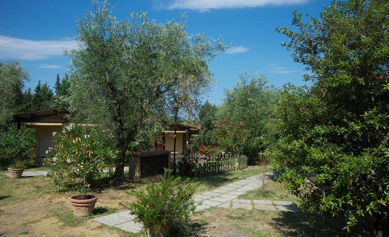 Il Fontino Toscana - Scarlino visuel 5/10