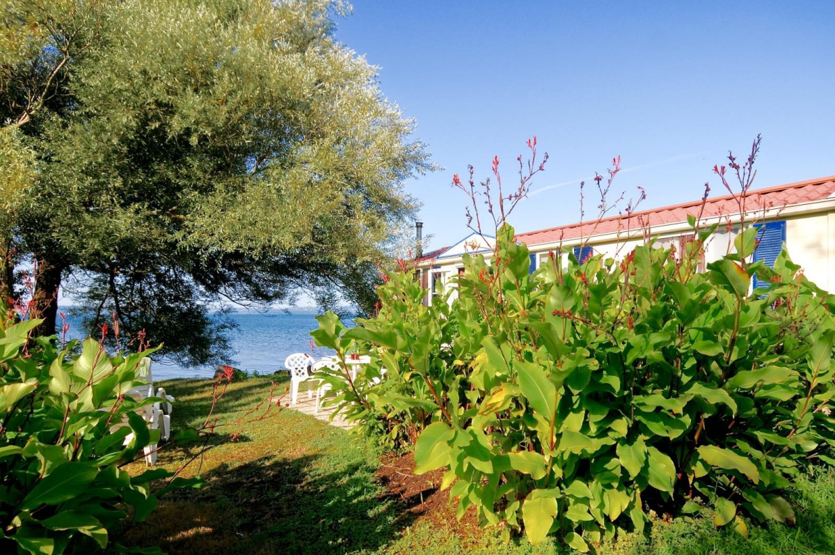 Internazionale di Bracciano Lazio - Trevignano Romano visuel 11/11