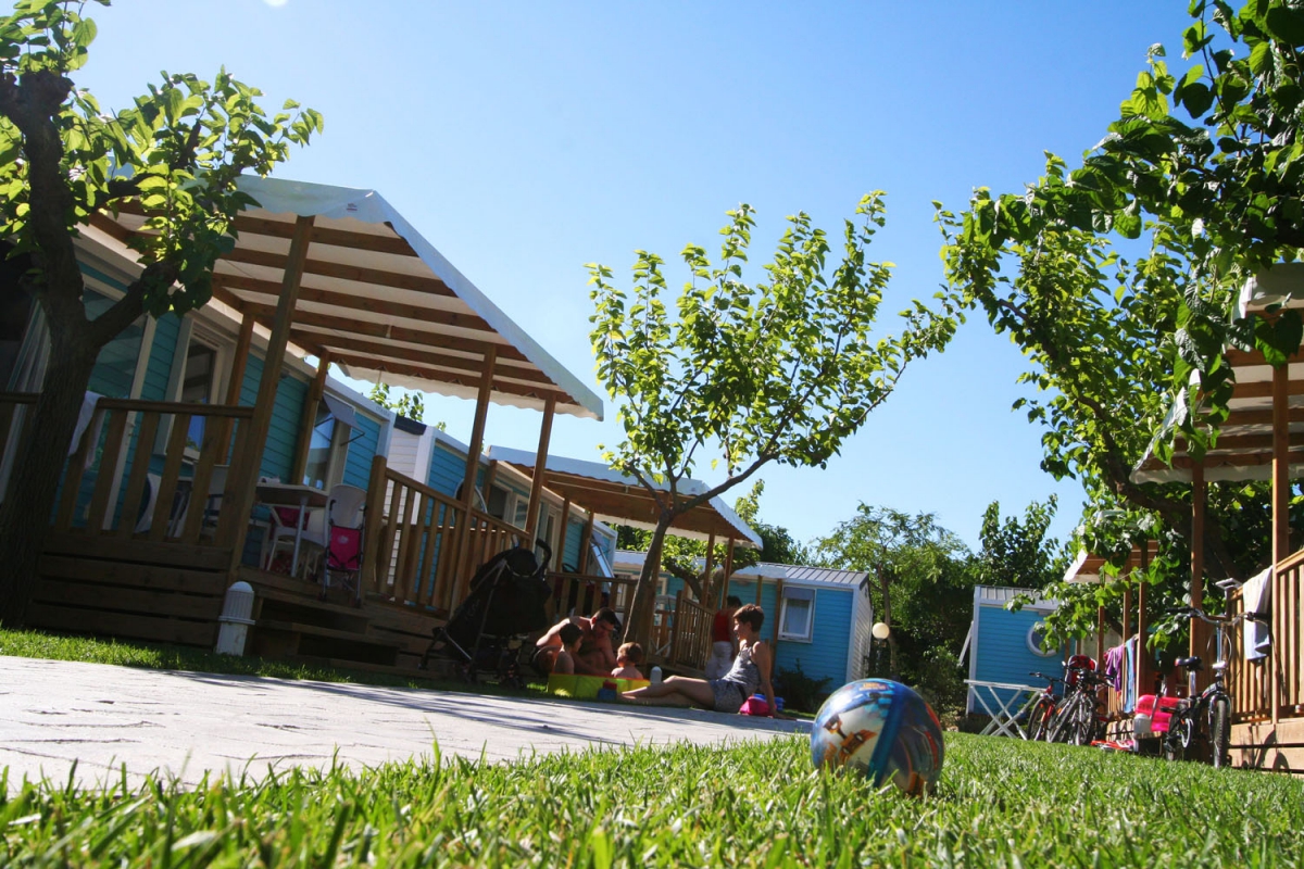 Joan Costa Dorada - Cambrils visuel 24/25