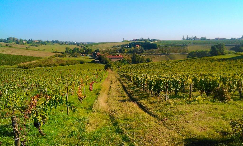 Kanôpée Village Rodano-Alpi - Trévoux visuel 10/15