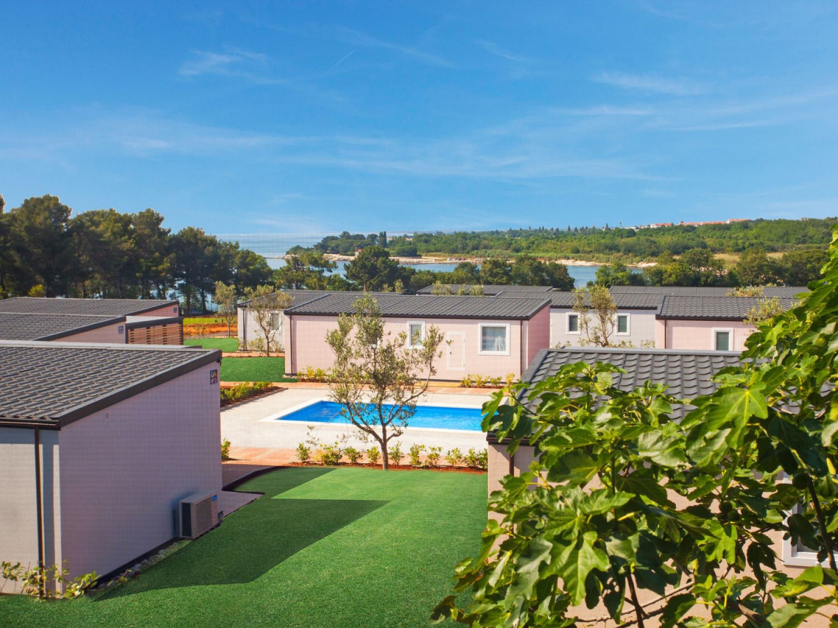 Kastanija Istria - Novigrad visuel 3/10 Kastanija Istria - Novigrad visuel 3/10