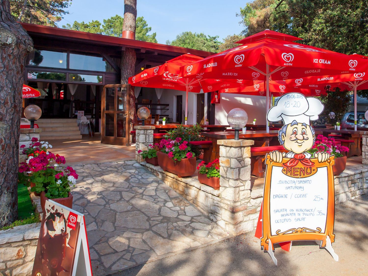 Kastanija Istria - Novigrad visuel 4/10 Kastanija Istria - Novigrad visuel 4/10