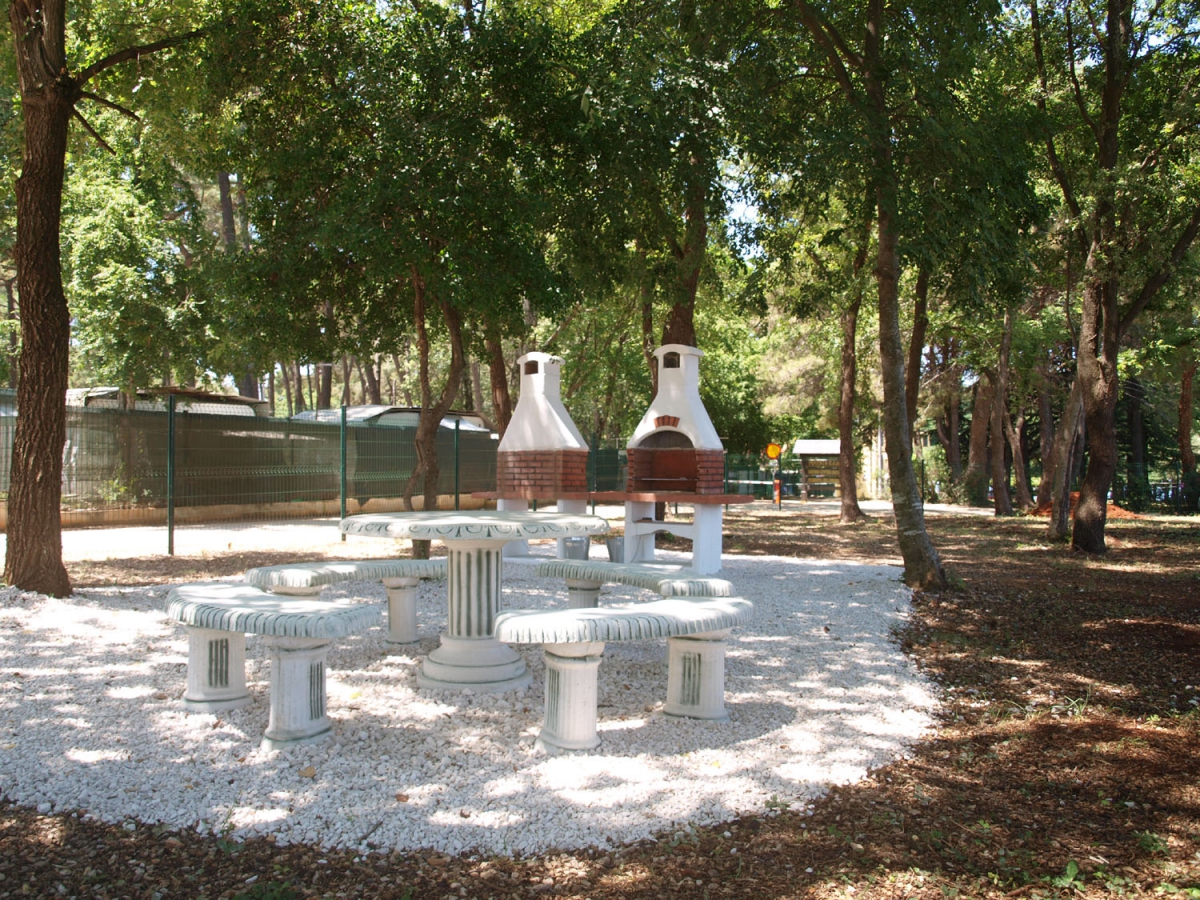 Kastanija Istria - Novigrad visuel 5/10 Kastanija Istria - Novigrad visuel 5/10