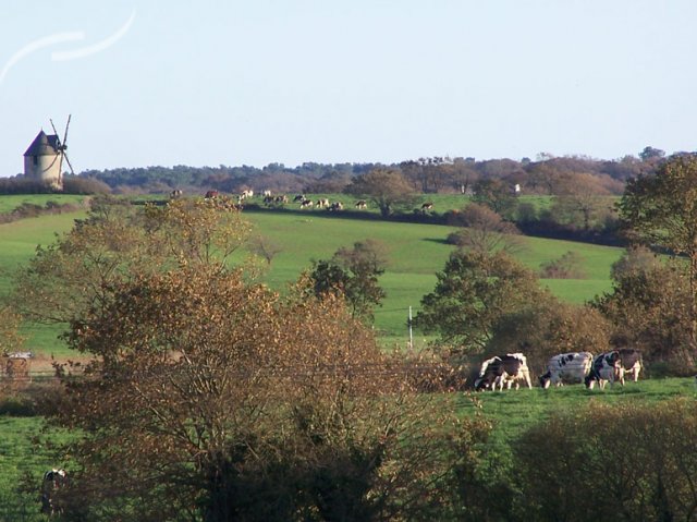 Kernéjeune Bretagna - Arzal visuel 7/11 Kernéjeune Bretagna - Arzal visuel 7/11