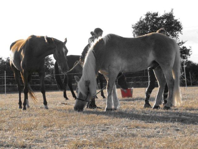 Kernéjeune Bretagna - Arzal visuel 10/11 Kernéjeune Bretagna - Arzal visuel 10/11