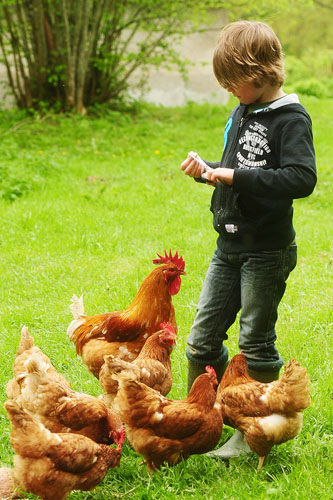 Kimaro Farmhouse Bourgogne - Colméry visuel 9/9 Kimaro Farmhouse Bourgogne - Colméry visuel 9/9