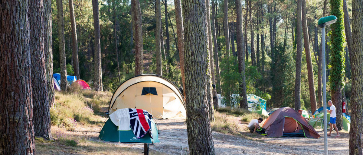 l'Etang Blanc Aquitania - Seignosse visuel 5/5