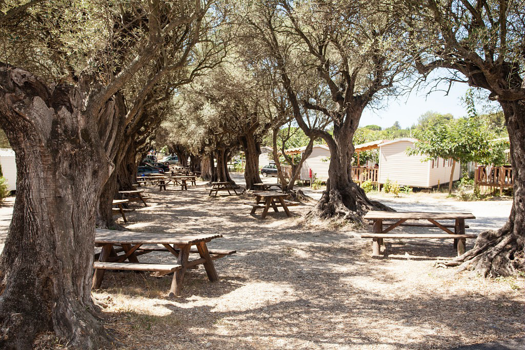 La Baie des Anges Provenza-Alpi-Costa Azzurra - La Ciotat visuel 12/15 La Baie des Anges Provenza-Alpi-Costa Azzurra - La Ciotat visuel 12/15