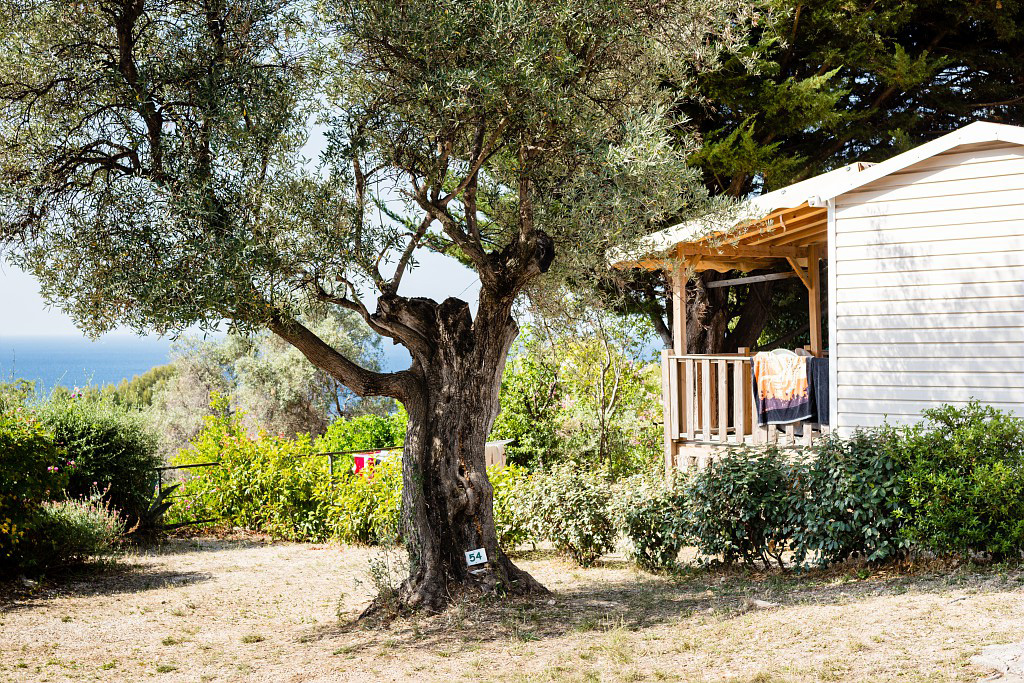 La Baie des Anges Provenza-Alpi-Costa Azzurra - La Ciotat visuel 7/15 La Baie des Anges Provenza-Alpi-Costa Azzurra - La Ciotat visuel 7/15