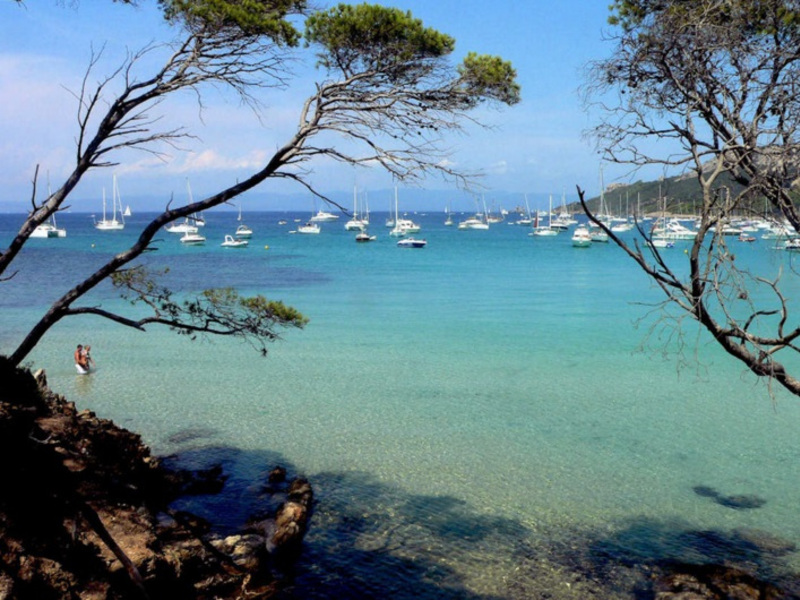 La Bergerie Plage Provenza-Alpi-Costa Azzurra - Hyères visuel 1/7