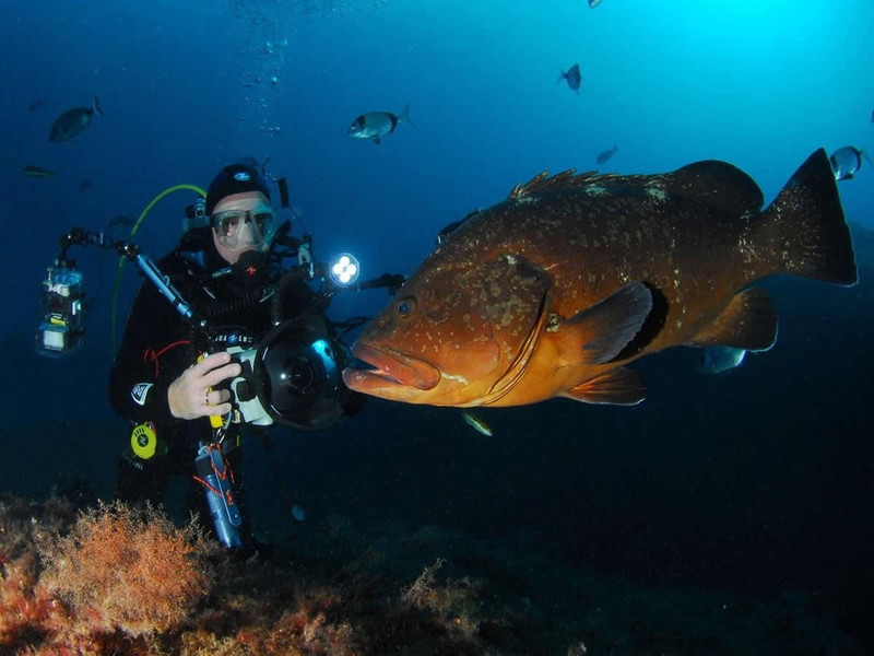 La Bergerie Plage Provenza-Alpi-Costa Azzurra - Hyères visuel 7/7