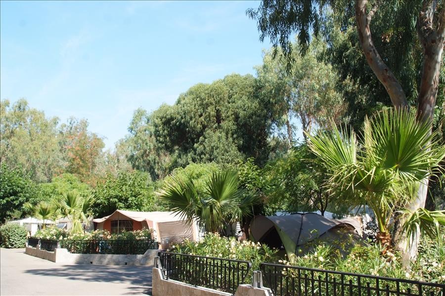 La Brûlade Provenza-Alpi-Costa Azzurra - La Londe-les-Maures visuel 6/6