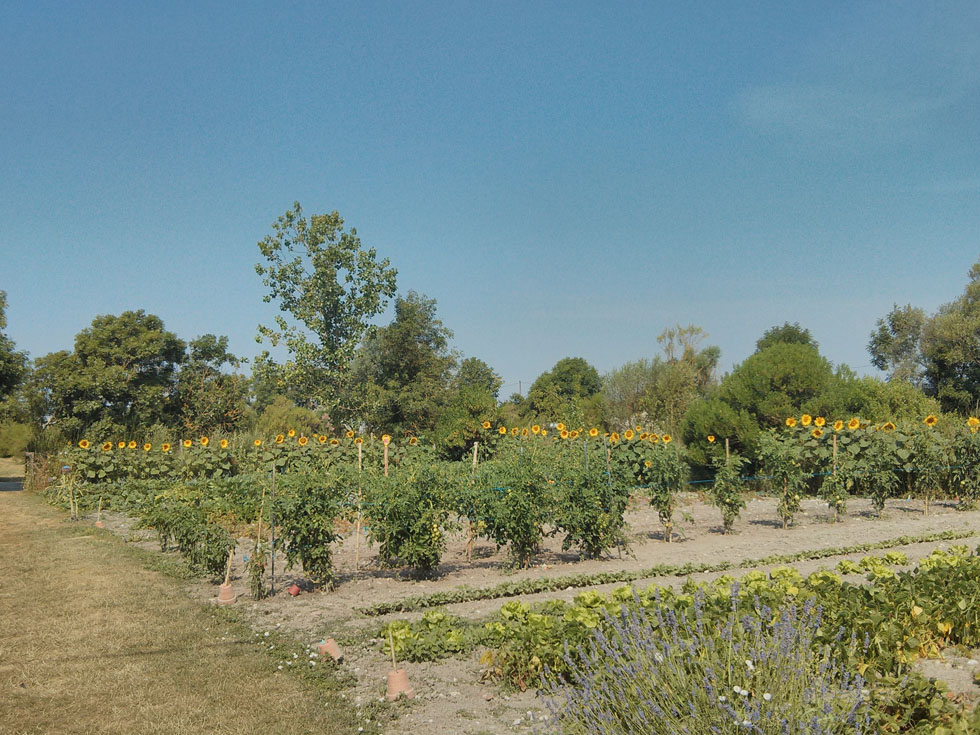 La Cabane des Frênes Poitou-Charentes - Yves visuel 5/5