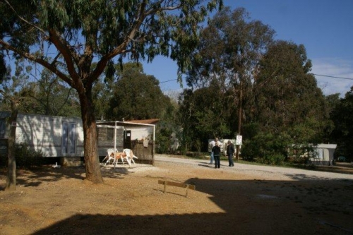 La Celinette Provenza-Alpi-Costa Azzurra - Bormes-les-Mimosas visuel 1/1