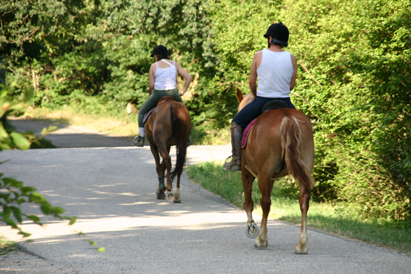La Châtaigneraie Rodano-Alpi - Anneyron visuel 5/10