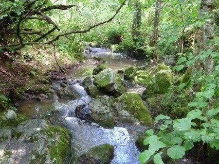 La Chazalet  Rodano-Alpi - Saint-Julien-Labrousse visuel 4/4