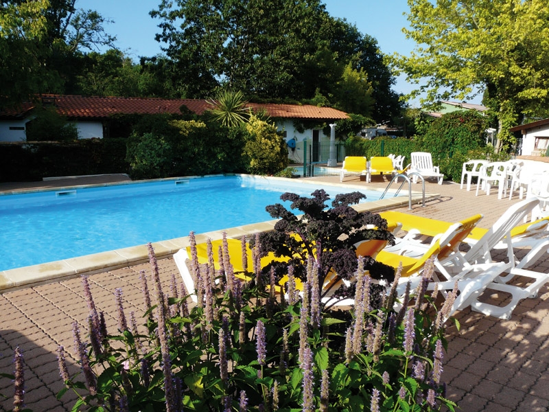 La Cigale Aquitania - Arès visuel 1/10 La Cigale Aquitania - Arès visuel 1/10