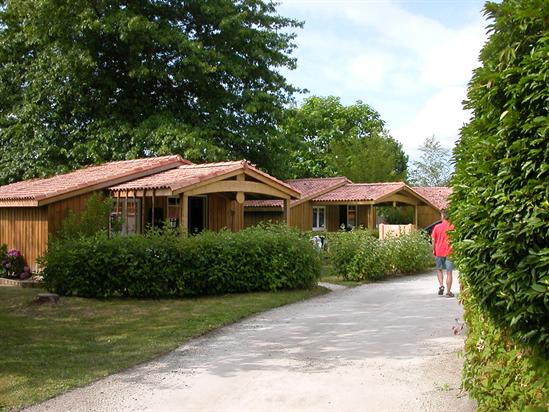 La Cigale Aquitania - Arès visuel 3/10 La Cigale Aquitania - Arès visuel 3/10