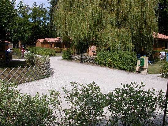 La Cigale Aquitania - Arès visuel 4/10 La Cigale Aquitania - Arès visuel 4/10