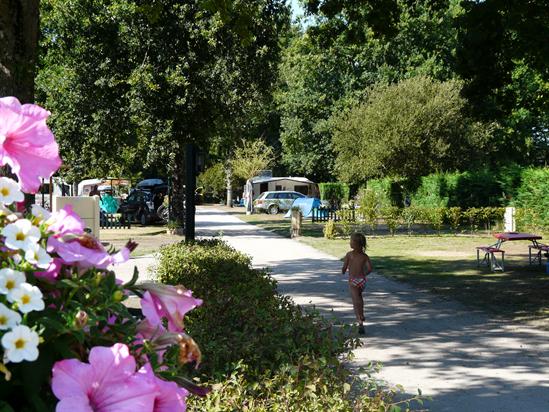 La Cigale Aquitania - Arès visuel 6/10 La Cigale Aquitania - Arès visuel 6/10