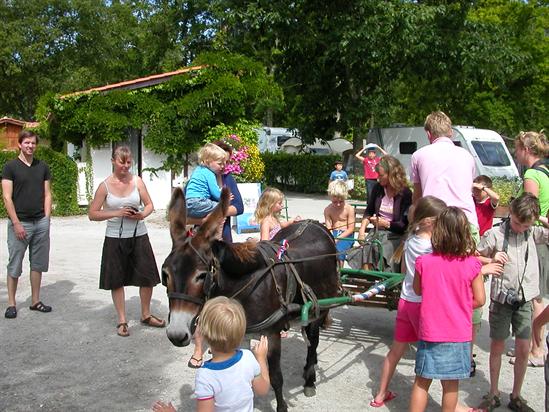 La Cigale Aquitania - Arès visuel 8/10 La Cigale Aquitania - Arès visuel 8/10