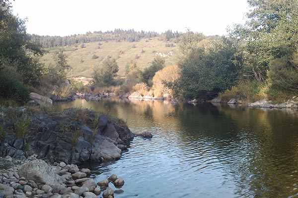 La Cigale de l'Allier Linguadoca-Rossiglione - Langogne visuel 7/7 La Cigale de l'Allier Linguadoca-Rossiglione - Langogne visuel 7/7
