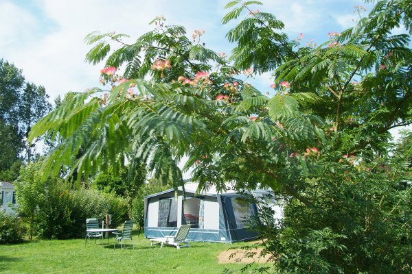 La Citadelle Centro-Valle della Loira - Loches visuel 4/10 La Citadelle Centro-Valle della Loira - Loches visuel 4/10