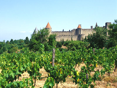 La Cité Linguadoca-Rossiglione - Carcassonne visuel 4/10