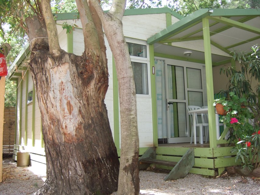 La Clé des Champs Corsica - Calvi visuel 5/7