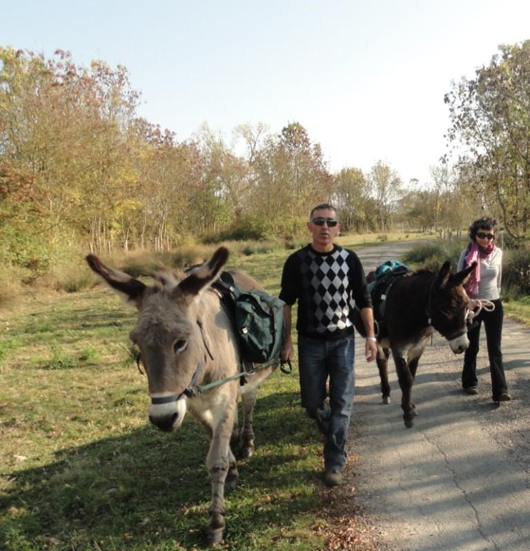 La Clé des Champs Paesi della Loira - Luçon visuel 8/8