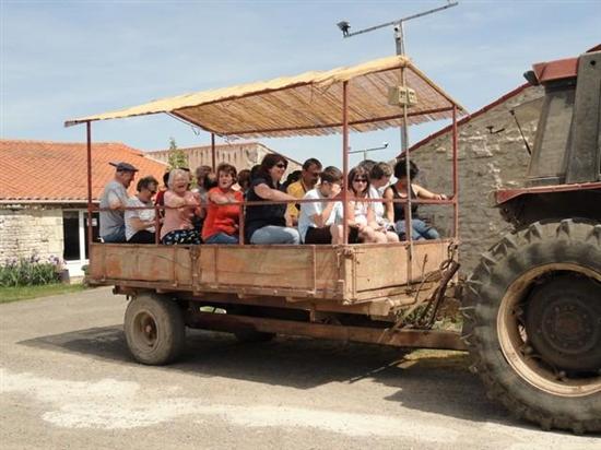 La Clé des Champs Paesi della Loira - Luçon visuel 3/8