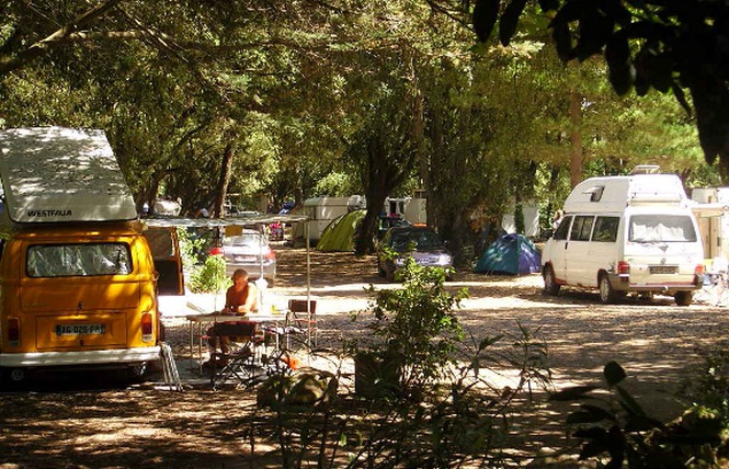 La Clère Paesi della Loira - Noirmoutier-en-l'Île visuel 3/3