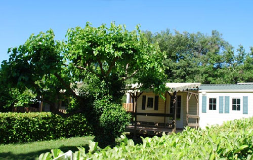 La Combe Linguadoca-Rossiglione - Barjac visuel 4/5 La Combe Linguadoca-Rossiglione - Barjac visuel 4/5